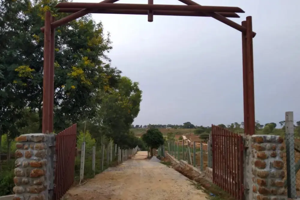 Misty valley entrance gate with scenic greenery and natural surroundings.