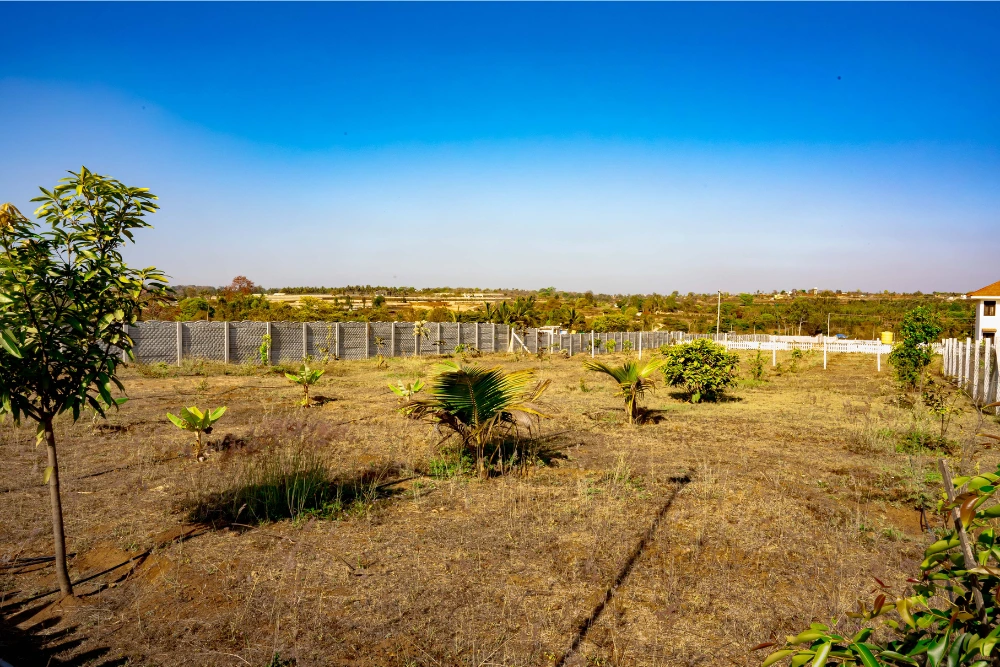 Plantations at vasudha kalpataru with lush greenery and well-maintained farmland.