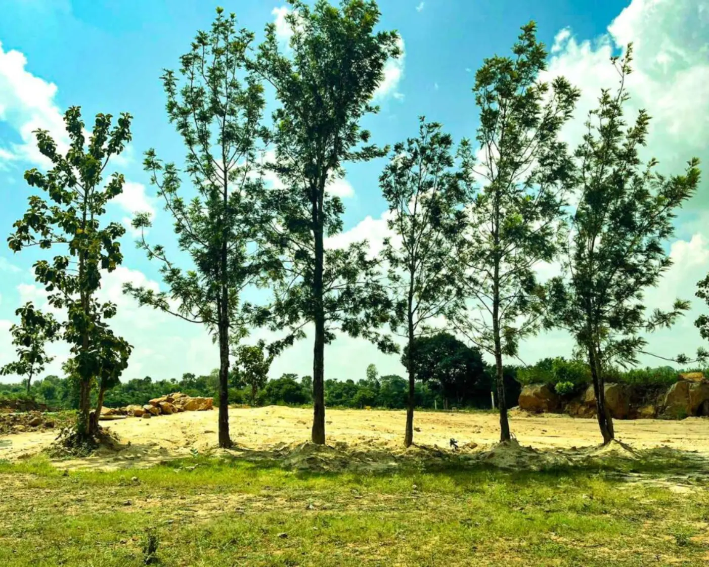 Sangam farms, thally with large old trees and scenic countryside views